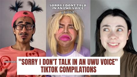 Sorry I Dont Talk In An UWU Voice